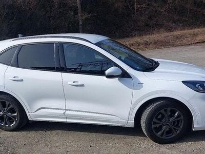 Gebraucht Ford Kuga ST-Line X 150 PS (110 kW) 2022 Weiß SUV