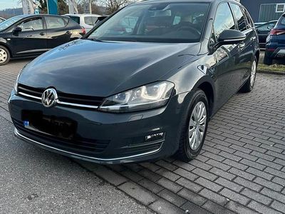 Grau Gebraucht 2016 VW Golf VII Allstar Kombi | 8.900 € (Fairer Preis)