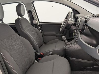Gebraucht Fiat Panda 69 PS (50 kW) 2024 Blanc gelato Kleinwagen