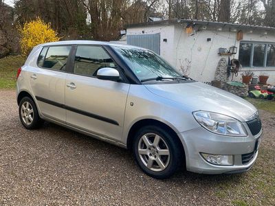 Gebraucht Skoda Fabia GreenLine 75 PS (55 kW) 2011 Silber Kleinwagen