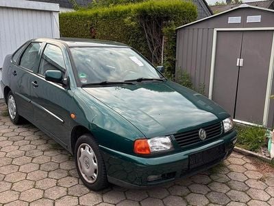 VW Polo