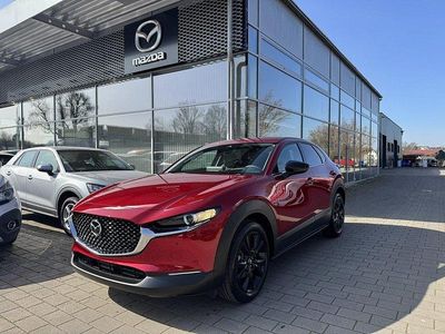 Neu Mazda CX-30 Homura-Line 140 PS (102 kW) 2026 SUV