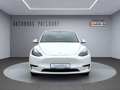 Gebraucht Tesla Model Y RWD 255 kW (347 PS) 2023 Weiß SUV