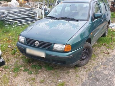 gebraucht VW Polo zum Schlachten