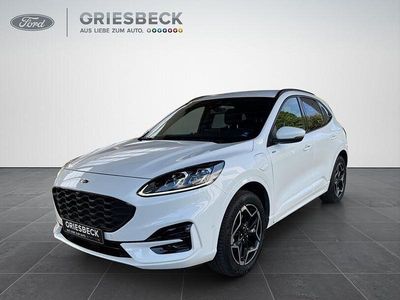 Frostweiss Gebraucht 2022 Ford Kuga ST-Line X SUV | 30.980 € (Teuer)