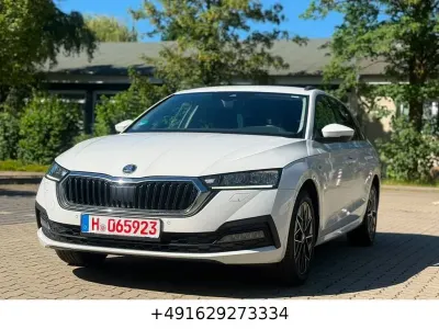 Gebraucht Skoda Octavia Clever 116 PS (85 kW) 2022 Weiß Kombi