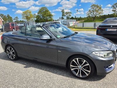 BMW 228