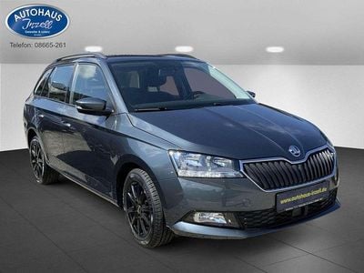 Gebraucht Skoda Fabia Ambition 95 PS (69 kW) 2021 Grau Kleinwagen