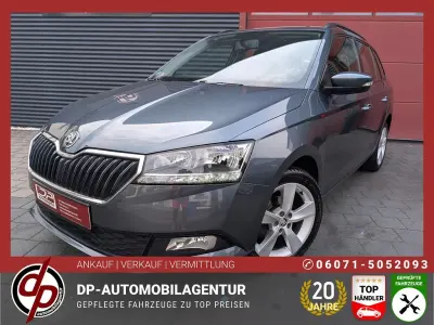 Gebraucht Skoda Fabia Cool Plus 75 PS (55 kW) 2019 Grau Kleinwagen