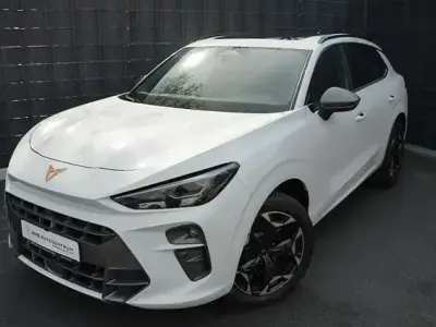 Occasion Cupra Terramar VZ 265 ch (194 kW) 2025 Blanc SUV