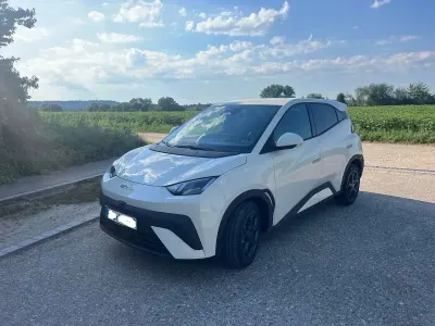 Gebraucht BYD Dolphin Surf