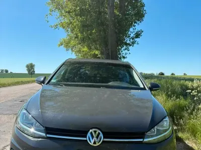 Gebraucht VW Golf VII Trendline 86 PS (63 kW) 2018 Grau Kleinwagen