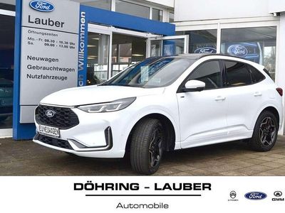 Neu Ford Kuga ST-Line X 184 PS (135 kW) 2025 Frostweiss SUV