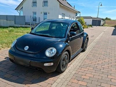 VW Beetle