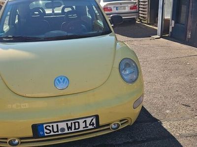 VW Beetle