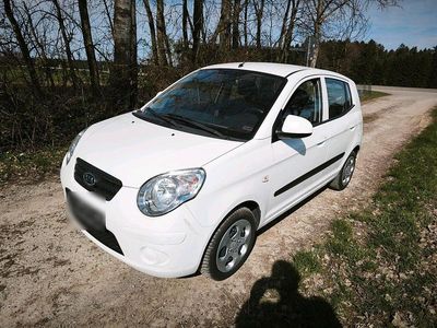 Gebraucht Kia Picanto 65 PS (47 kW) 2009 Weiß Kleinwagen