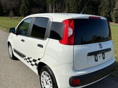 Gebraucht Fiat Panda Pop 69 PS (50 kW) 2017 Weiß Kleinwagen