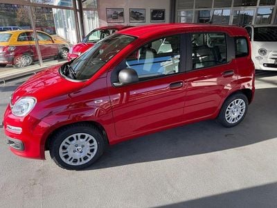 Neu Fiat Panda 69 PS (50 kW) 2025 Rot Kleinwagen