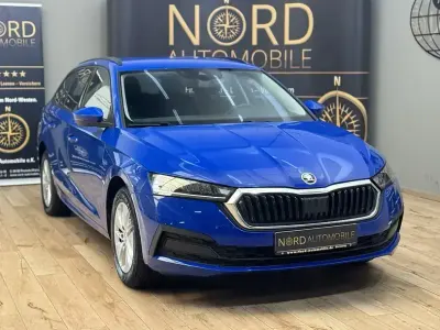 Gebraucht Skoda Octavia
