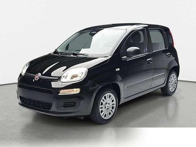 Neu Fiat Panda Icon 69 PS (50 kW) 2025 Nero cinema pastello Kleinwagen