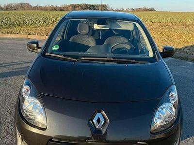 Gebraucht Renault Twingo Rip Curl 76 PS (55 kW) 2010 Schwarz Kleinwagen