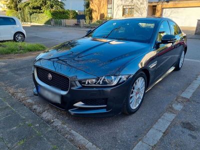 gebraucht Jaguar XE E-Performance R-Sport Automatik