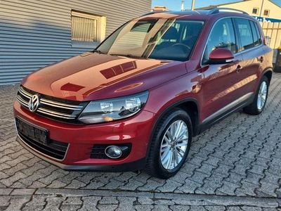 Gebraucht VW Tiguan Sportline 122 PS (89 kW) 2015 Rot SUV