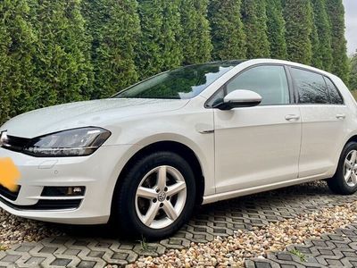 gebraucht VW Golf 1.6 TDI BlueMotion Technology Lounge