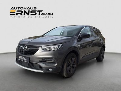 Gebraucht Opel Grandland X 131 PS (96 kW) 2019 Grau SUV