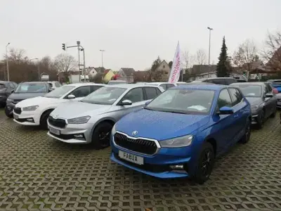 Brugt Skoda Fabia