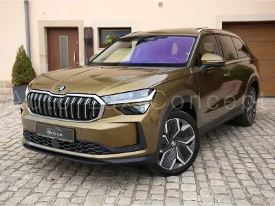 Gebraucht Skoda Kodiaq Selection 193 PS (141 kW) 2024 Braun SUV