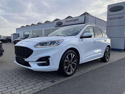 Gebraucht Ford Kuga ST-Line 150 PS (110 kW) 2023 Frostweiß SUV