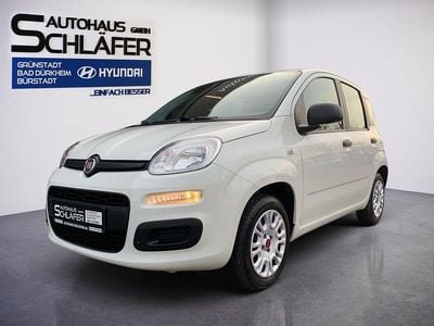 Gebraucht Fiat Panda Easy 69 PS (50 kW) 2017 Colore esterno (weiss) Kleinwagen