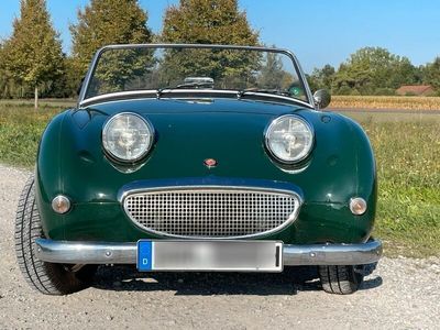 gebraucht Austin Healey Sprite „Frosch“