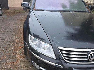 Gebraucht VW Phaeton 2009 Schwarz Limousine