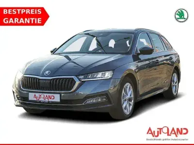 Gebraucht Skoda Octavia First Edition 150 PS (110 kW) 2020 Grau Kombi