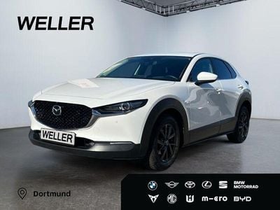 Gebraucht Mazda CX-30 Selection 122 PS (89 kW) 2020 Weiß SUV