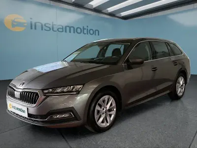 Gebraucht Skoda Octavia 150 PS (110 kW) 2023 Grau Kombi
