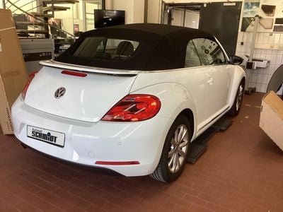 VW Beetle