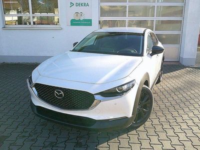 Neu Mazda CX-30 Homura-Line 140 PS (102 kW) 2025 Weiß SUV