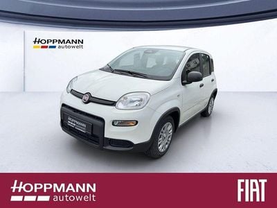 Weiß Gebraucht 2024 Fiat Panda Pop Kleinwagen | 15.990 € (Fairer Preis)