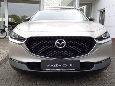Gebraucht Mazda CX-30 Homura-Line 186 PS (136 kW) 2024 SUV