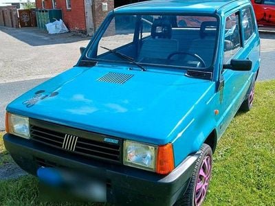 Second-hand Fiat Panda 34 CP (25 kW) 1992 Verde Hatchback