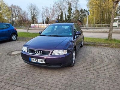 Usata Audi A3 Ambition 125 CV (91 kW) 2001 Viola Utilitaria