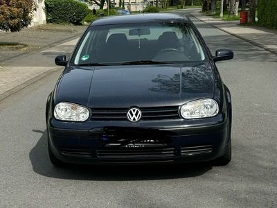 gebraucht VW Golf IV Volkswagen1,4 16v