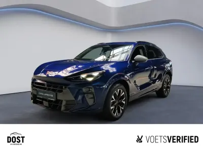 Gebraucht Cupra Terramar