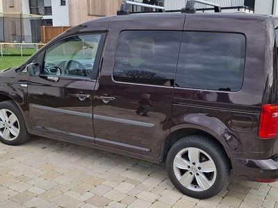 Gebraucht VW Caddy Family 125 PS (91 kW) 2016 Violet Van / Kleinbus