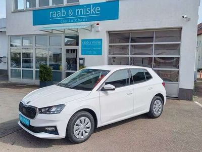 gebraucht Skoda Fabia 1.0l TSI DSG Selection*Kamera/PDC/SHZ/LRH*