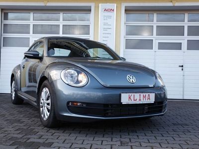 VW Beetle
