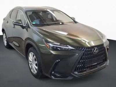Gebraucht Lexus NX350h Business Edition 190 PS (139 kW) 2022 Grün SUV